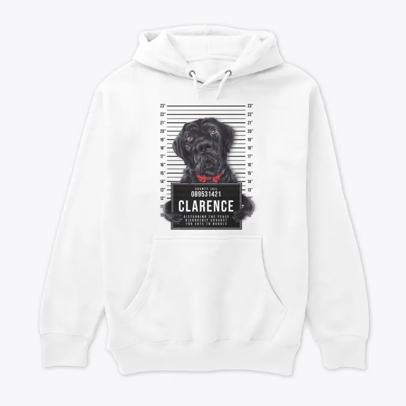 FREE CLARENCE V2