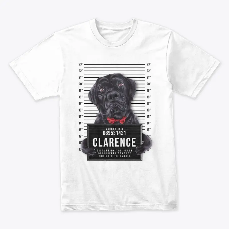 FREE CLARENCE V2